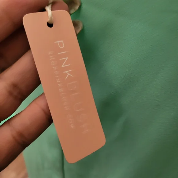 Pinkblush Bell Sleeves Dress - Picture 5 of 7